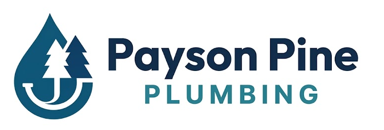 plumbinginpayson.com